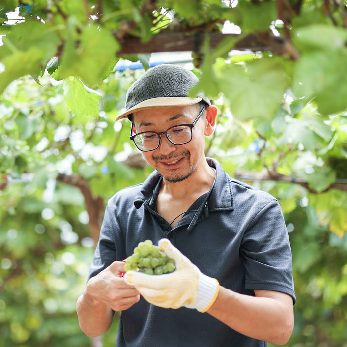 Omishima Minnano Winery