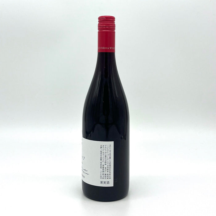 Noumin Rosso 2024