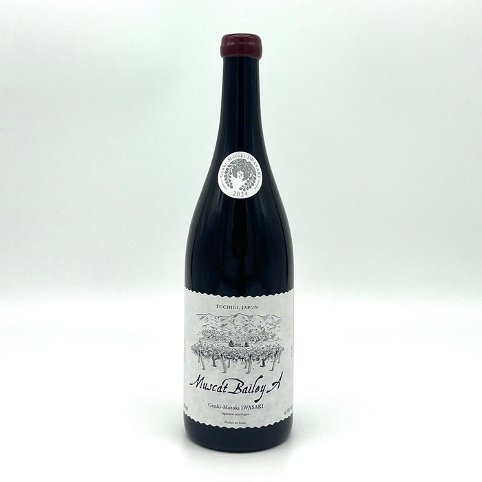 Muscat Bailey A 2024